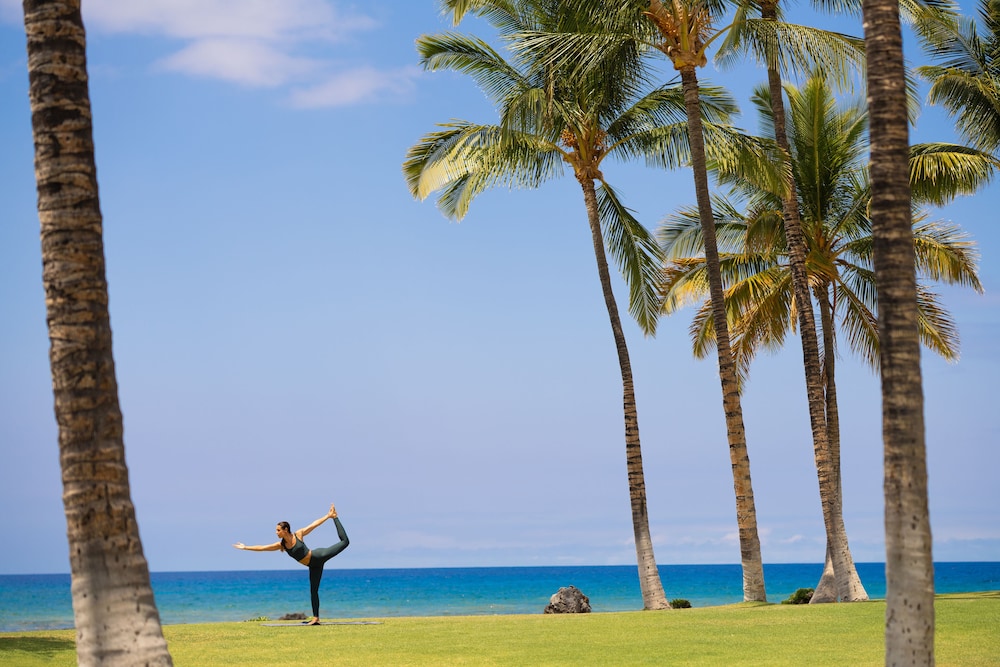 Fairmont Orchid - photo 68