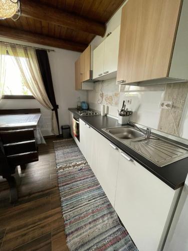 Cabana Merisorului — Borsa — photo 3
