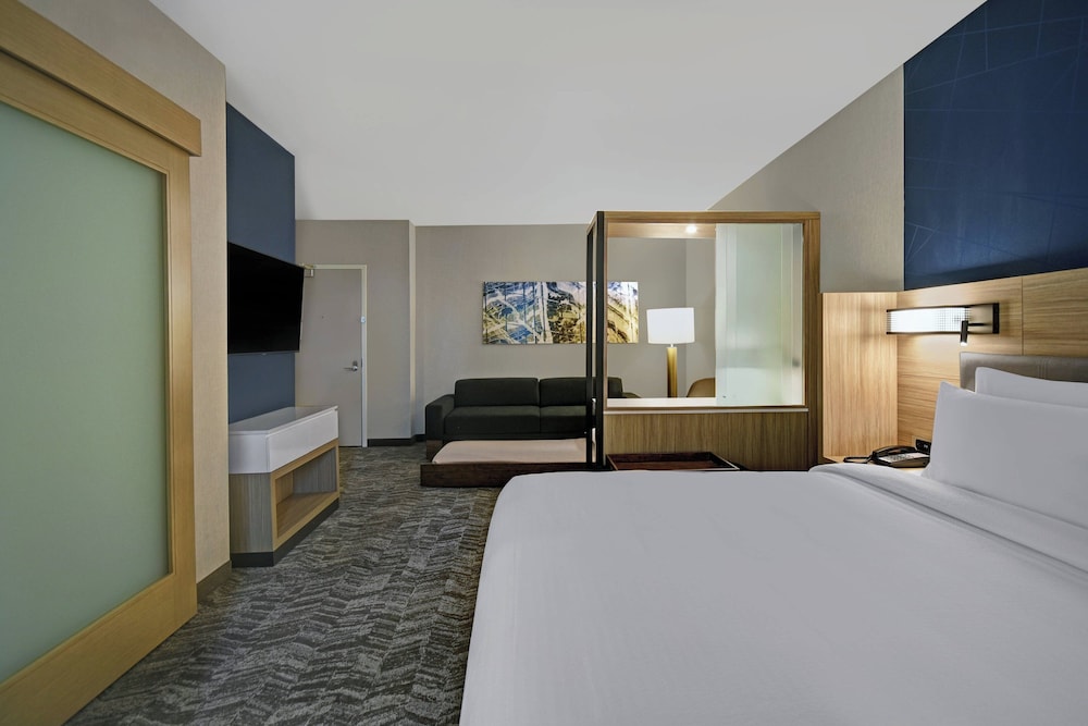 SpringHill Suites by Marriott St. Paul Arden Hills - photo 12