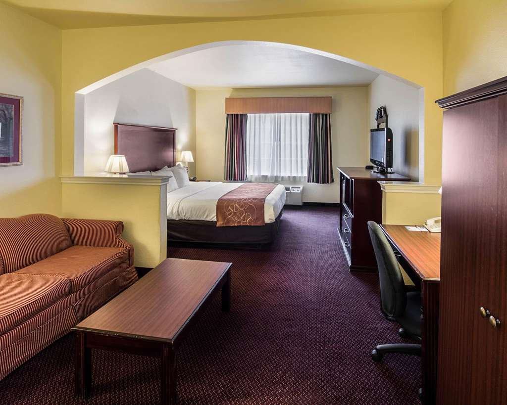 Comfort Suites Texarkana Texas - photo 15