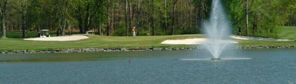 Etowah Valley Golf & Resort - photo 20