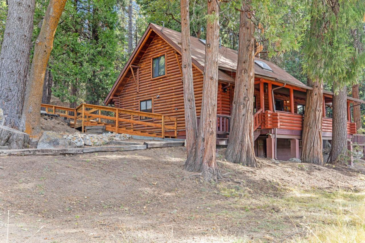 Pine Cone Haven - carbon neutral hotel in Unknown City