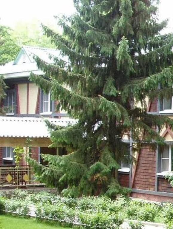 Gorodok - carbon neutral hotel in Samara