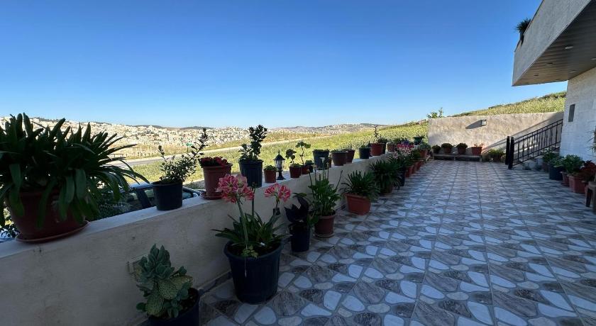 Jerash City View — Jarash — photo 5