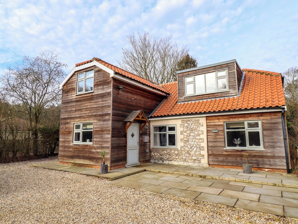 Natterjacks in King's Lynn, United Kingdom