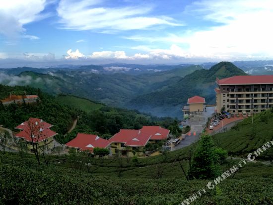 Longyunshan Tea Garden Hotel — hotel in Tongle