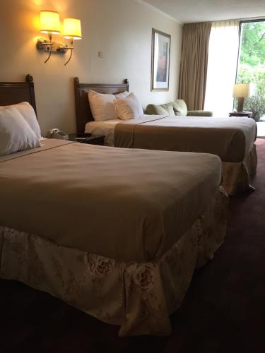 Cheshire Motor Inn - photo 10