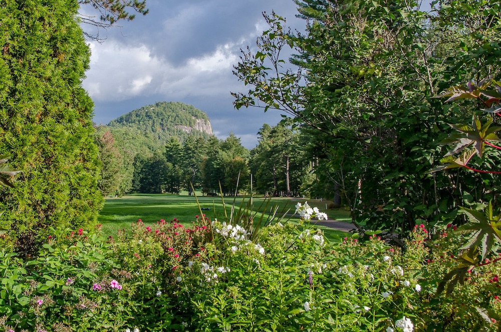 The White Mountain Hotel & Resort - photo 20