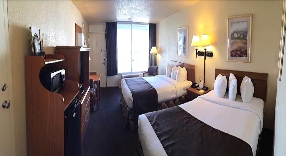 Whitten Inn University - photo 7