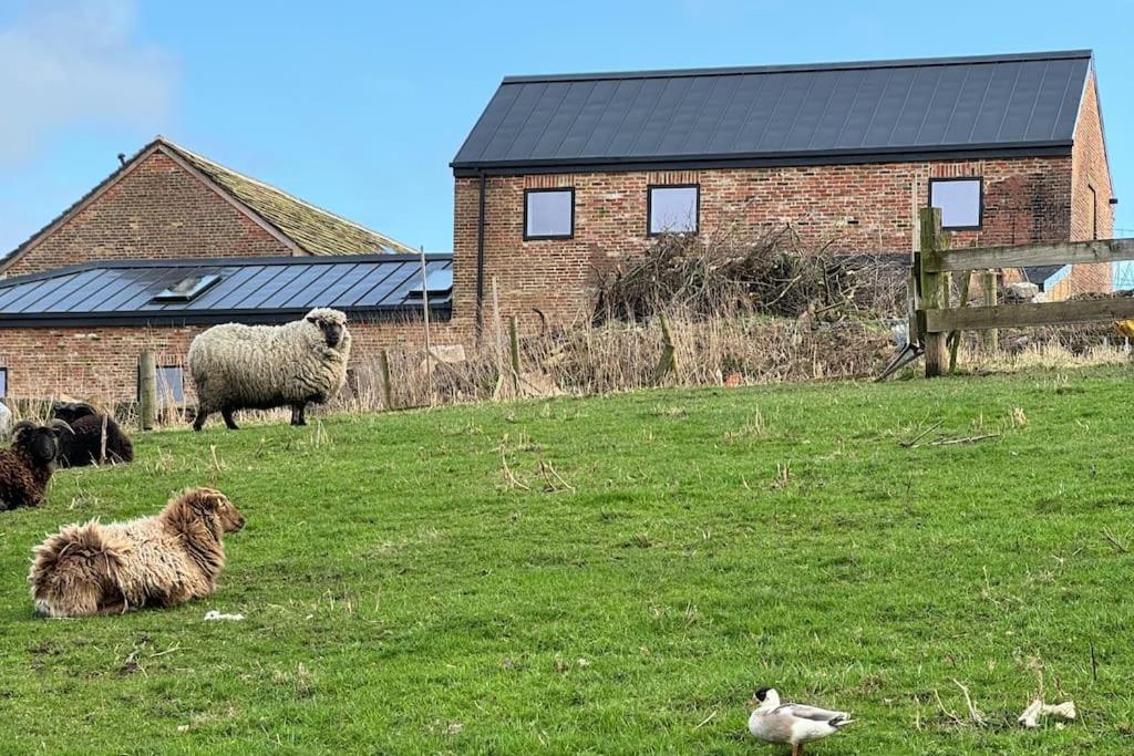 The Hayloft Modern 4 Bed 8 person Barn Conversion in a Rural Location with Great Access & Hot Tub pet-friendly hotel Silkstone