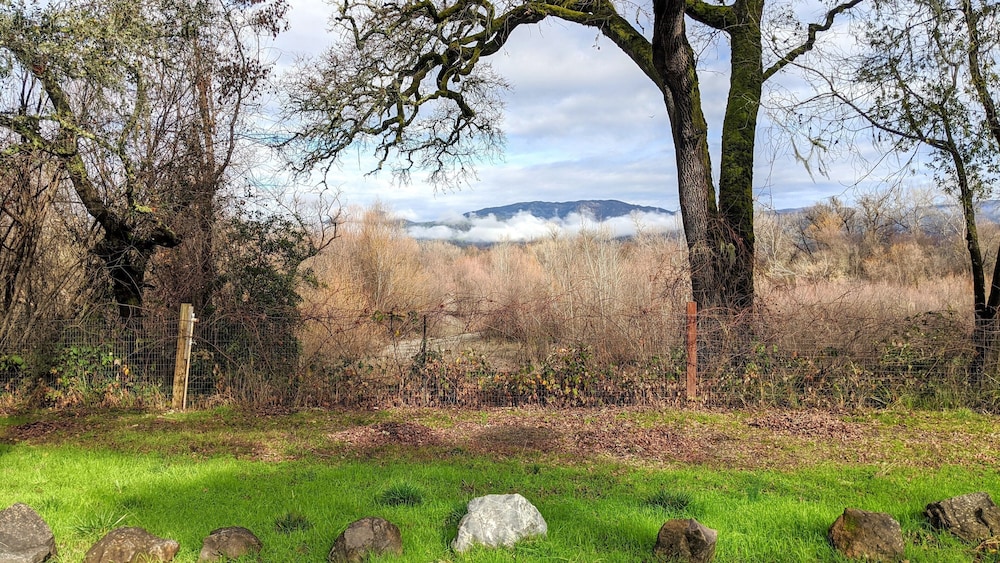 Wildhaven Sonoma Glamping - photo 52