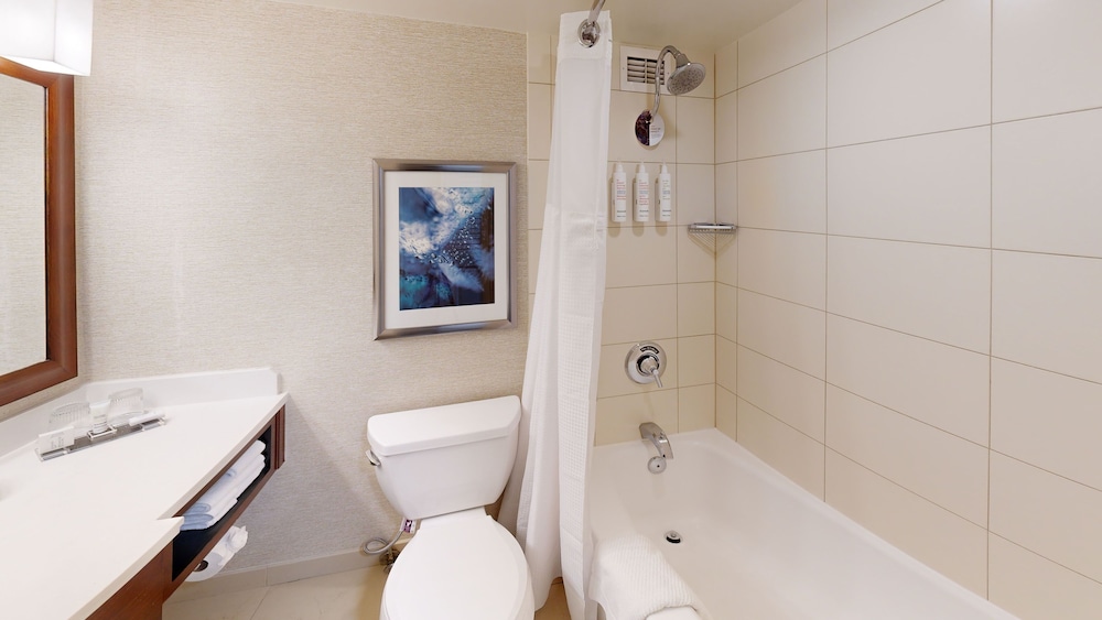 Marriott Chicago O'Hare - photo 44
