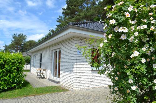 Ferienhaus Albatros — Karlshagen