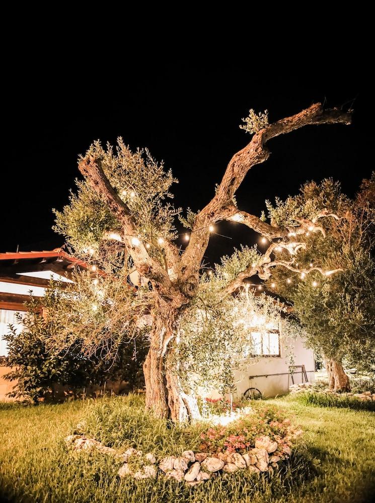 Bellaria Residence — Giurdignano — photo 2
