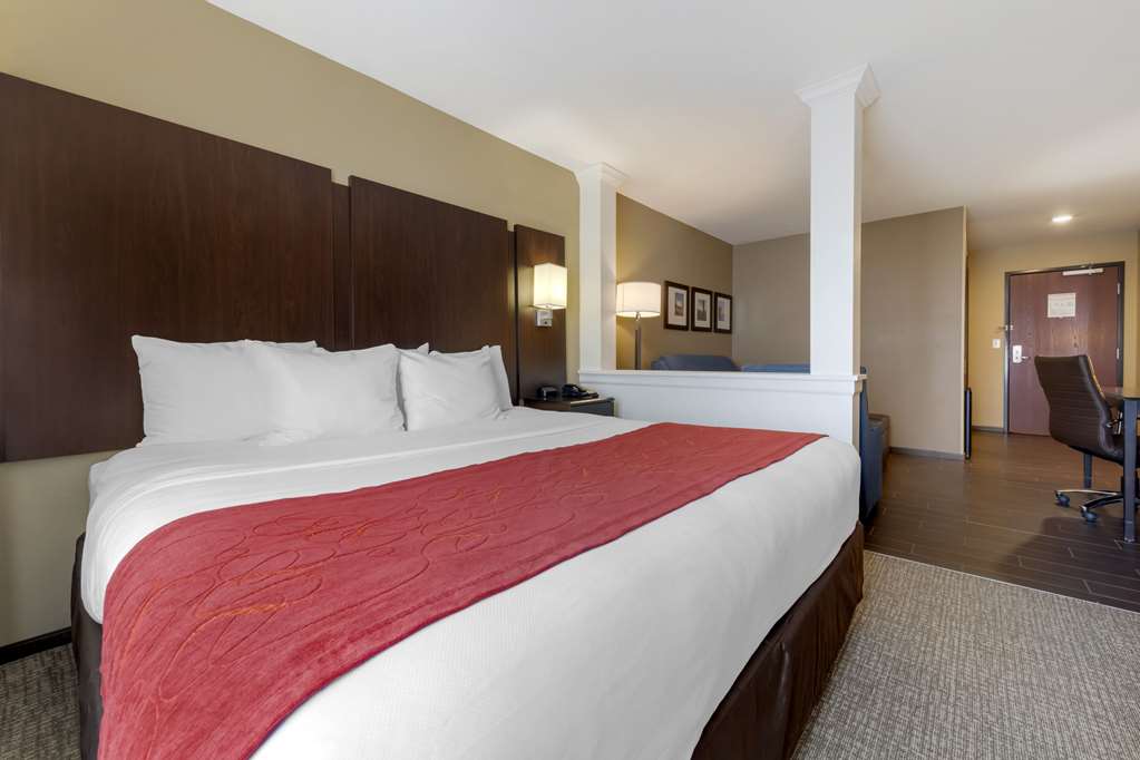 Comfort Suites and Conference Center - photo 16