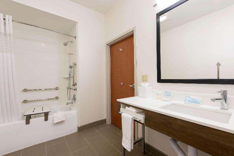 Hampton Inn & Suites East Lansing Okemos - photo 57