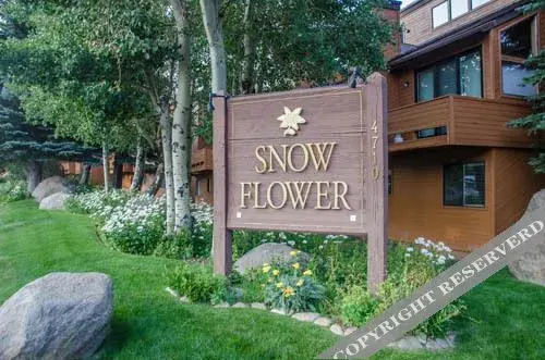 Snowflower - photo 7