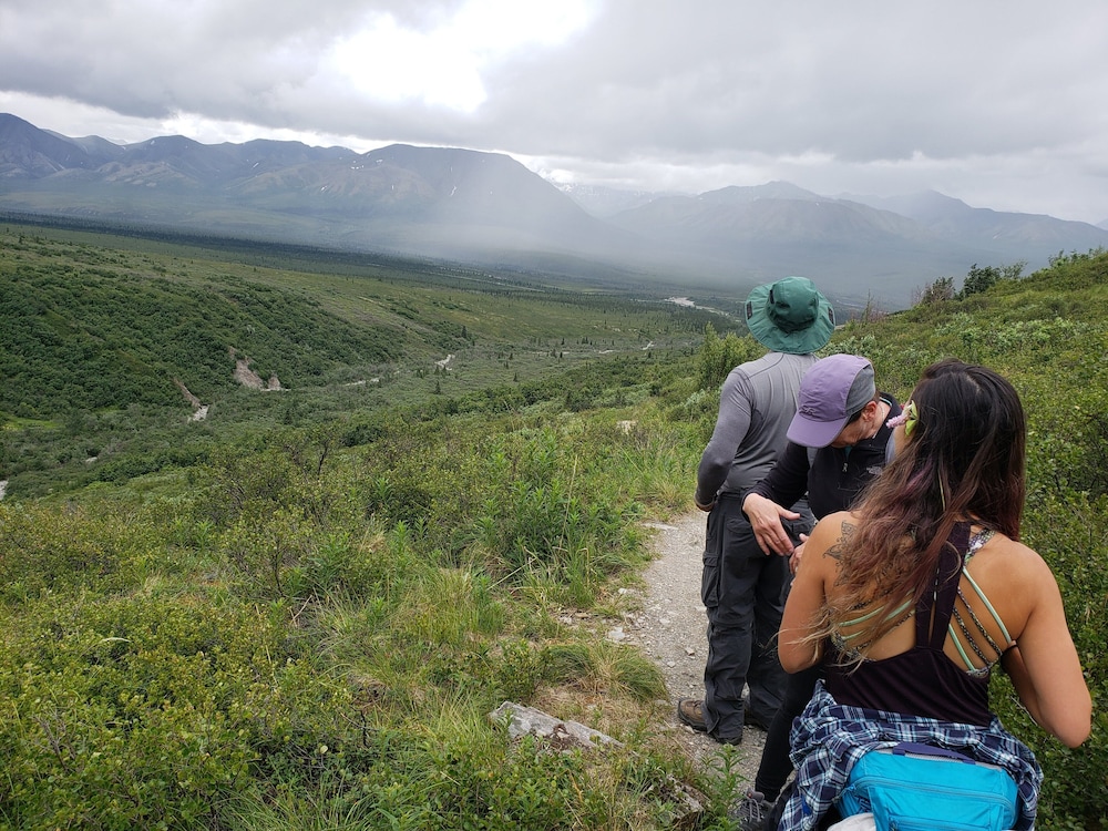 Denali Wild Stay - photo 64