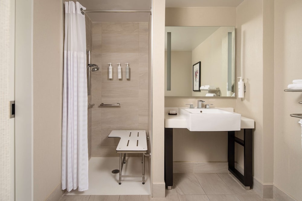Embassy Suites by Hilton New York Manhattan Times Square - photo 63