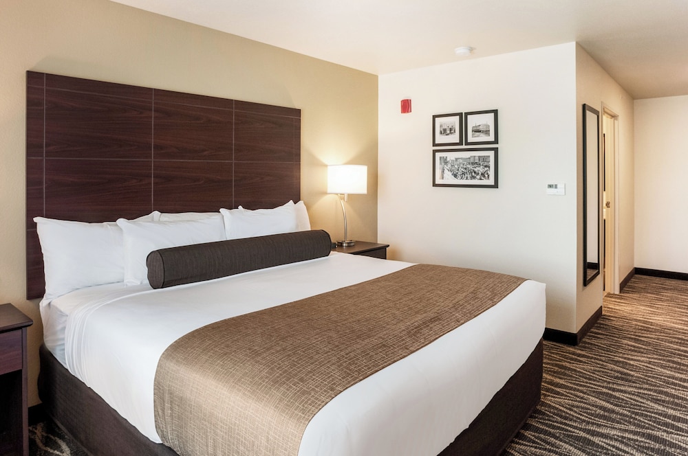 Cobblestone Hotel & Suites Appleton International Airport - photo 13