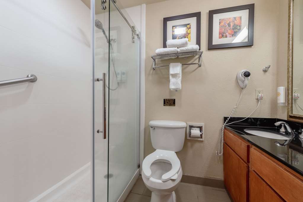 Comfort Inn & Suites Alamosa - photo 49
