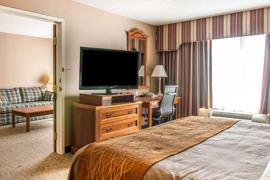 Comfort Inn Chelsea MI - photo 26