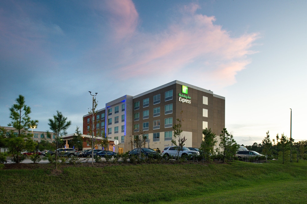 Holiday Inn Express Orlando South Park by IHG - photo 73