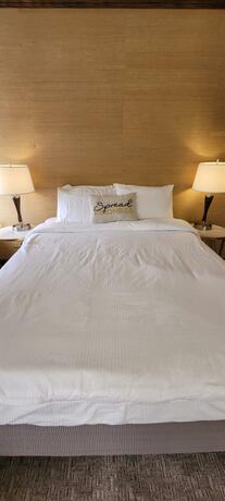 Hotel Phillips Hotel - photo 4
