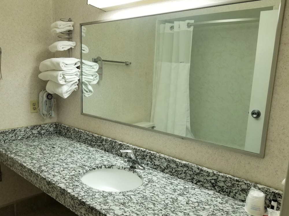 Ramada by Wyndham Washington - photo 4