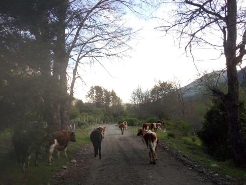 Corral del Agua — Unknown City — photo 5