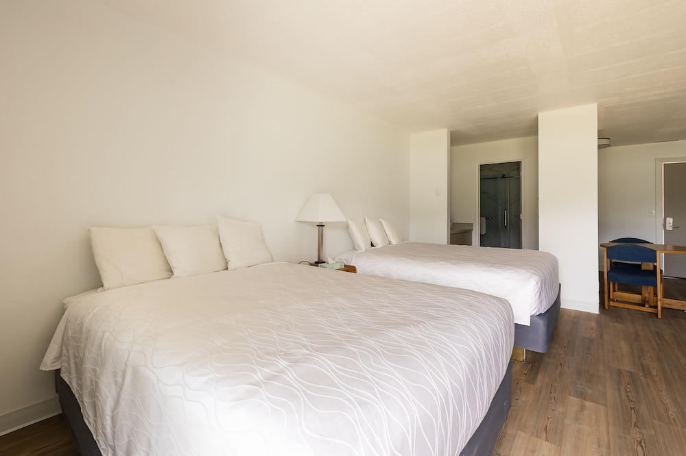 Jot's Resort - photo 22