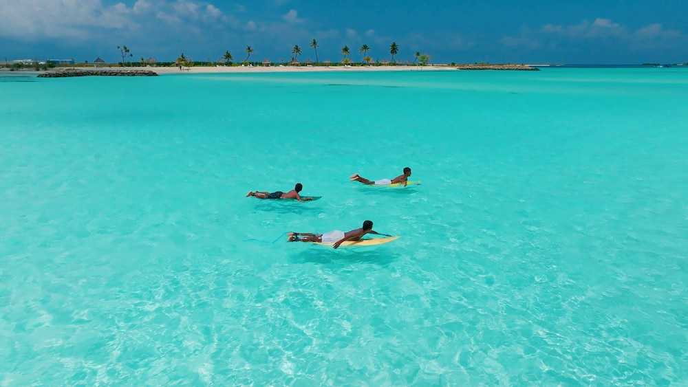 Surfing/boogie boarding