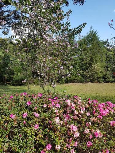 Pousada La Vivian in Serra Negra, Brasil
