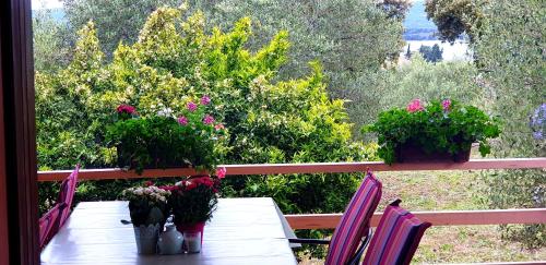 Apartman Rabatin — 4-Star Luxury Hotel in Sveti Filip I Jakov, Croatia