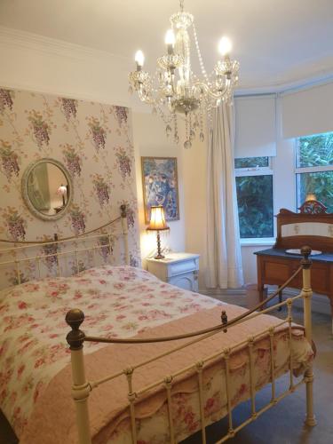 Private room near Roath Lake Park