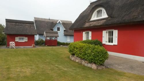 Seestern — Glowe — photo 2