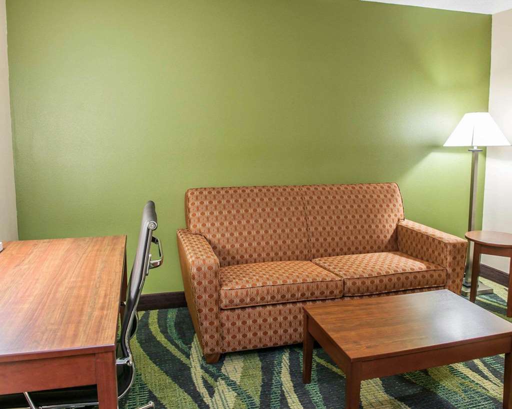Quality Inn & Suites South Bend Airport - photo 25