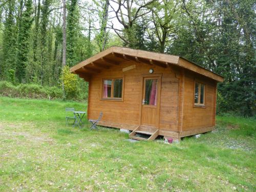 Chanterelle in Unknown City, France