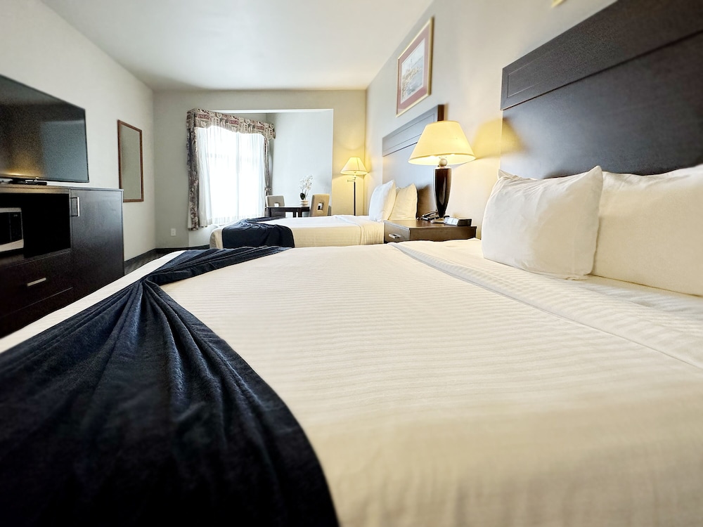 BayVue Hotel Resort and Suites - photo 43