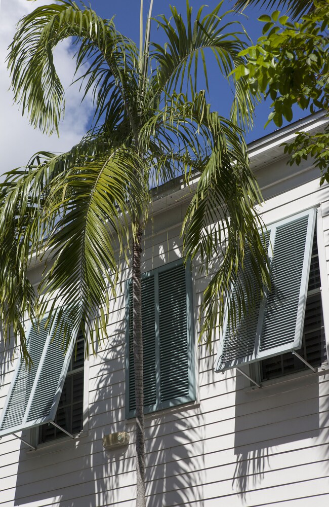 Paradise Inn Key West Adults Only - photo 23