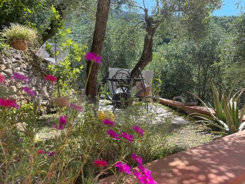 Casa Marina — 4-Star Luxury Hotel in None, Italy