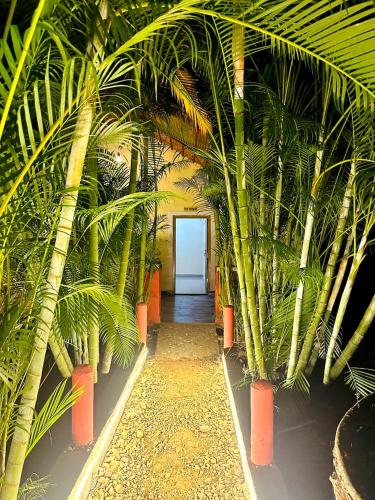 Dandeli Kali Resort — Dandeli