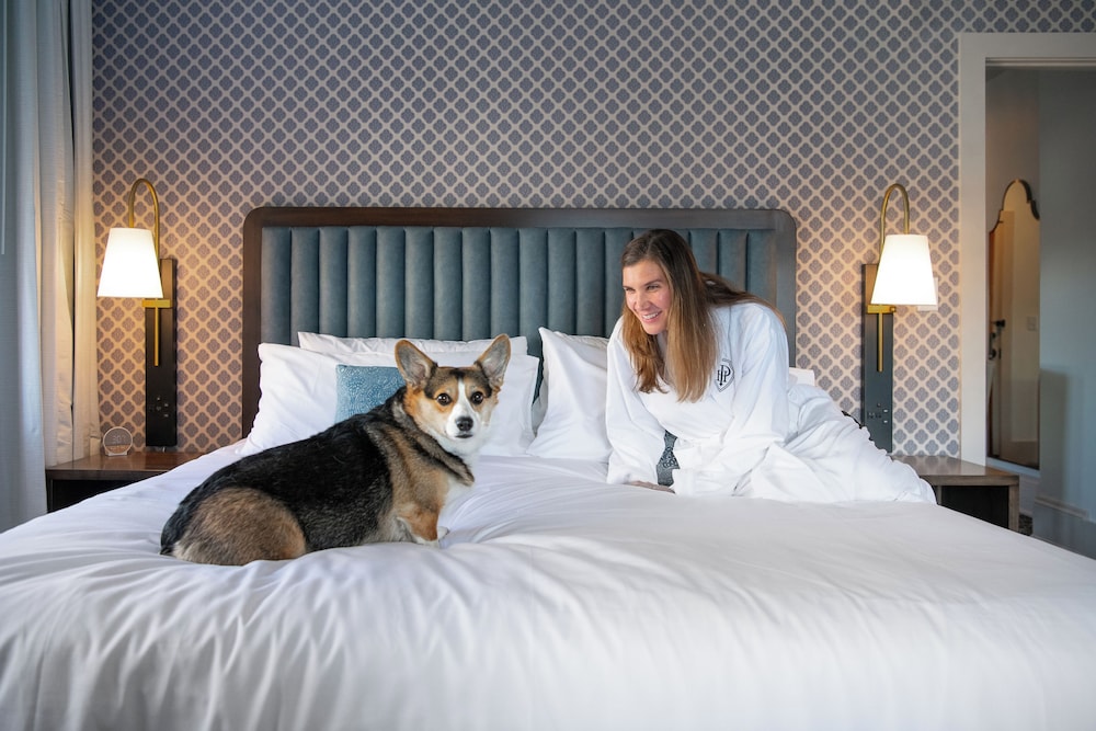 Hotel Petersburg Tapestry Collection by Hilton - photo 9