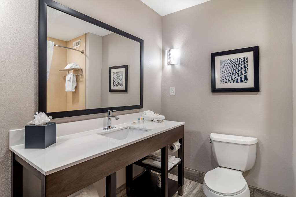 Comfort Suites McDonough Atlanta South - photo 20
