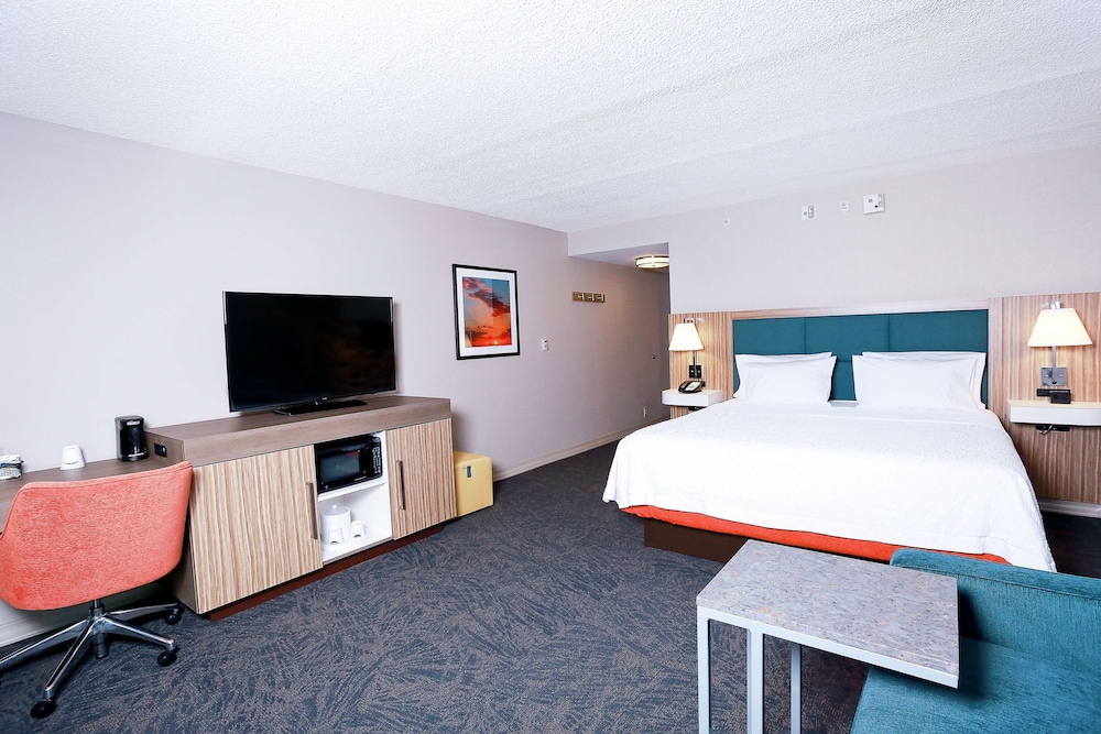 Hampton Inn & Suites Tampa Wesley Chapel - photo 10