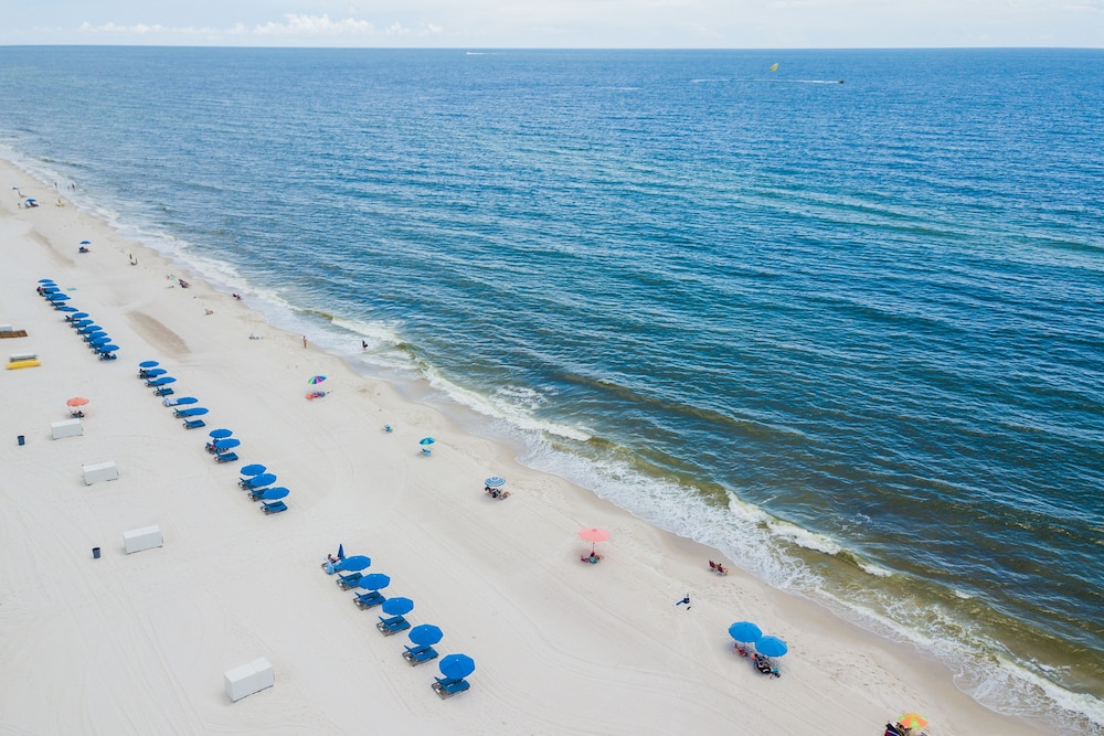 Hilton Garden Inn Orange Beach Beachfront - photo 101