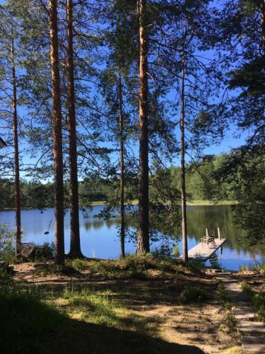 Mökki Aapola — Puumala — photo 3