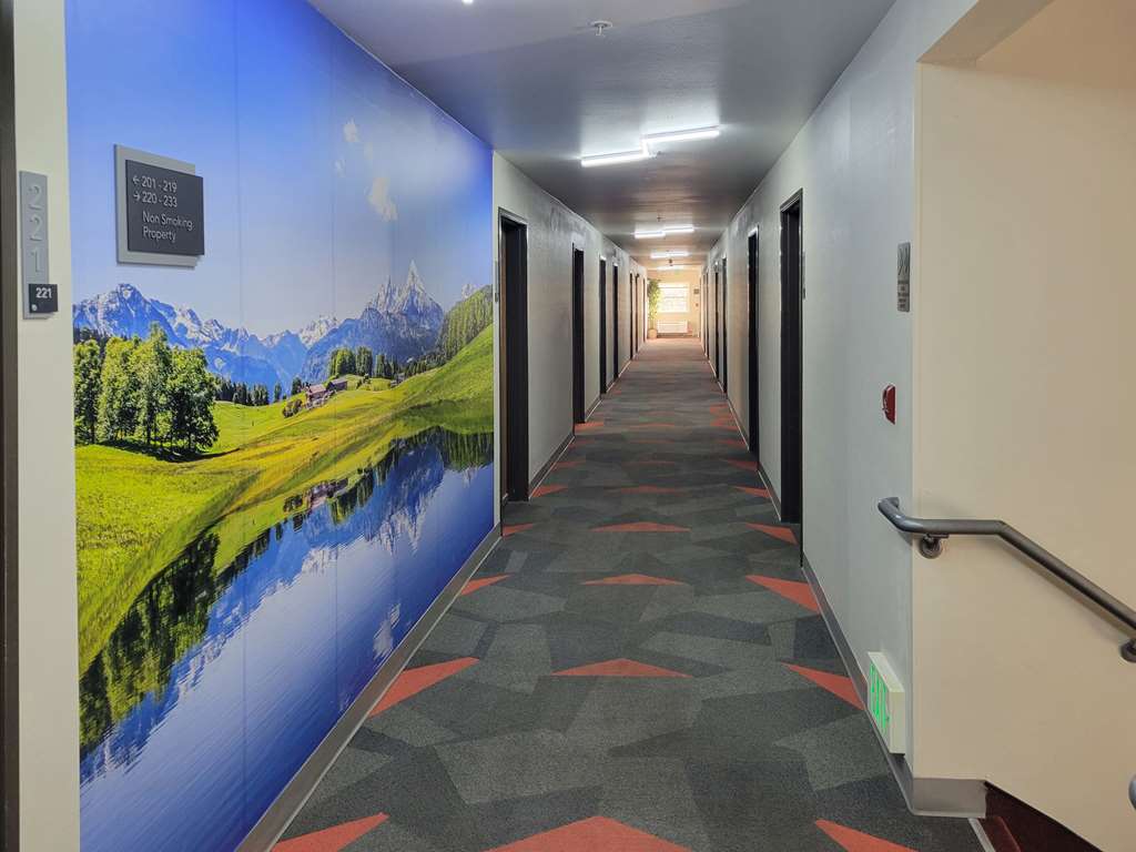 Quality Inn Port Orchard - photo 92