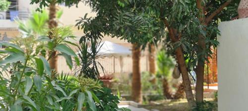 Senmut Luxory Apartments