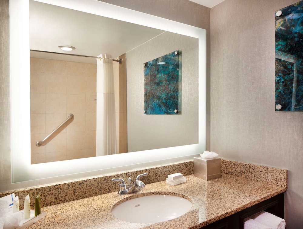 Hilton Houston NASA Clear Lake - photo 46